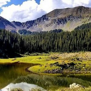 Meet your Posher, Acetaminophen